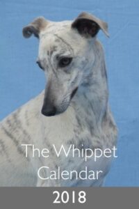 Whippet Calendar 2018 - JR Whippet Rescue
