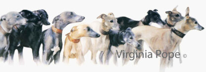 Virginia Pope prints - Group of Whippets