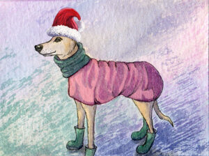 Whippet Rescue Xmas Cards - Her only concession