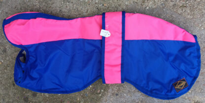 Venture Coat - Pink and Royal Blue with Royal Blue Trim