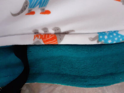 Dog Fleece - White with Dinosaurs - Teal Lining