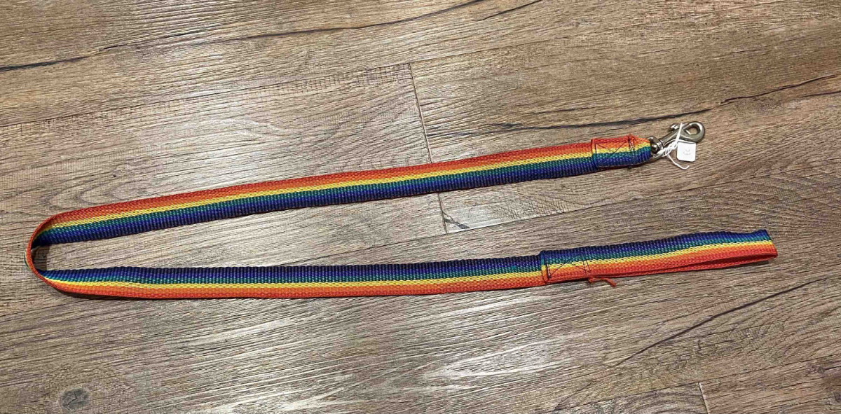 Rainbow Leads – JR Whippet Rescue Shop