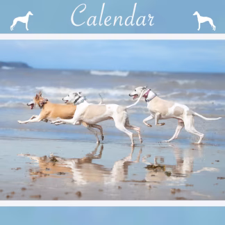 2026 - The Whippet Calendar