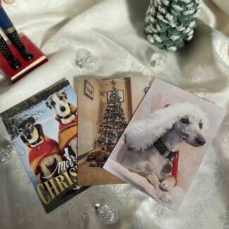 JRWR Christmas Cards 2022