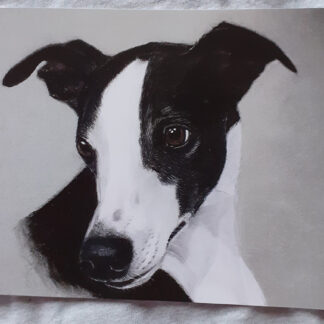 'Badger' - Blank Cards