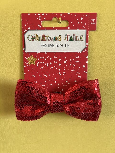 Festive Bow Tie