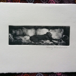 Hilary Macdonald - Drypoint Etching