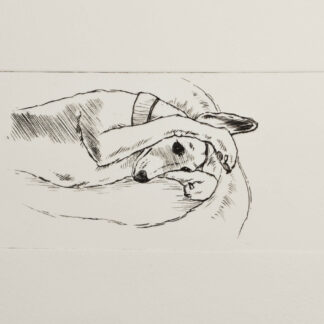 Hilary Macdonald - Drypoint Etching Prints