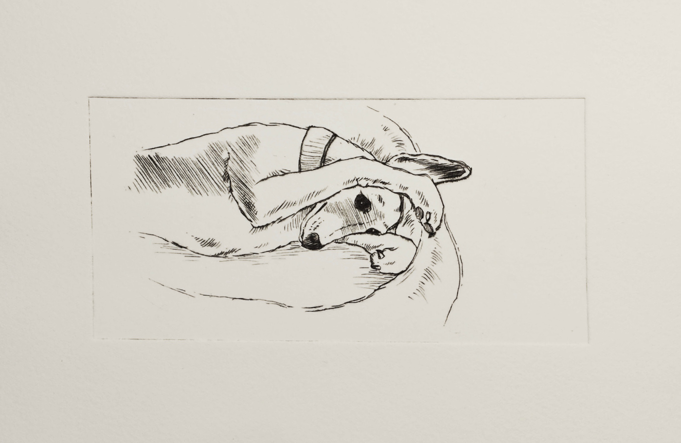 Hilary Macdonald - Drypoint Etching Prints