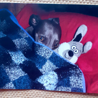 Merlin with Mr Rabbit - Single Card