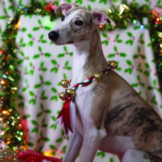 Xmas Card JRWR Wayman
