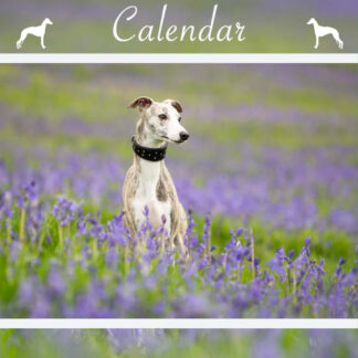 The Whippet Calendar 2027