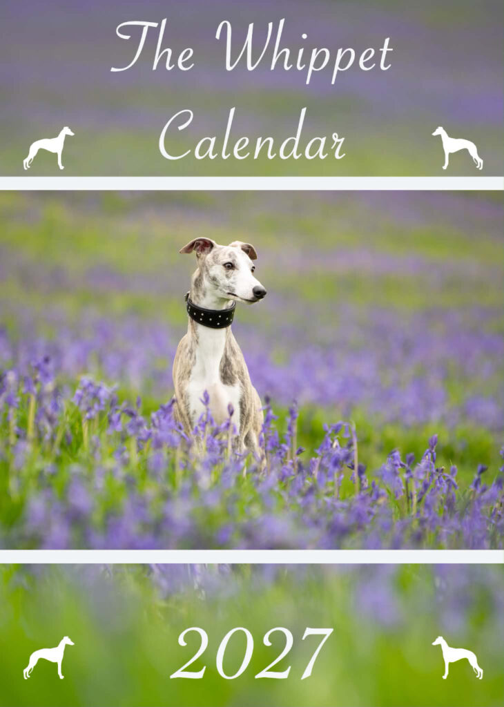 The Whippet Calendar 2027