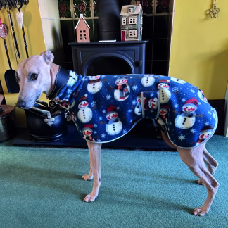 Xmas Fleece 1